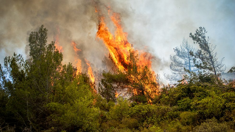 fotia rodos